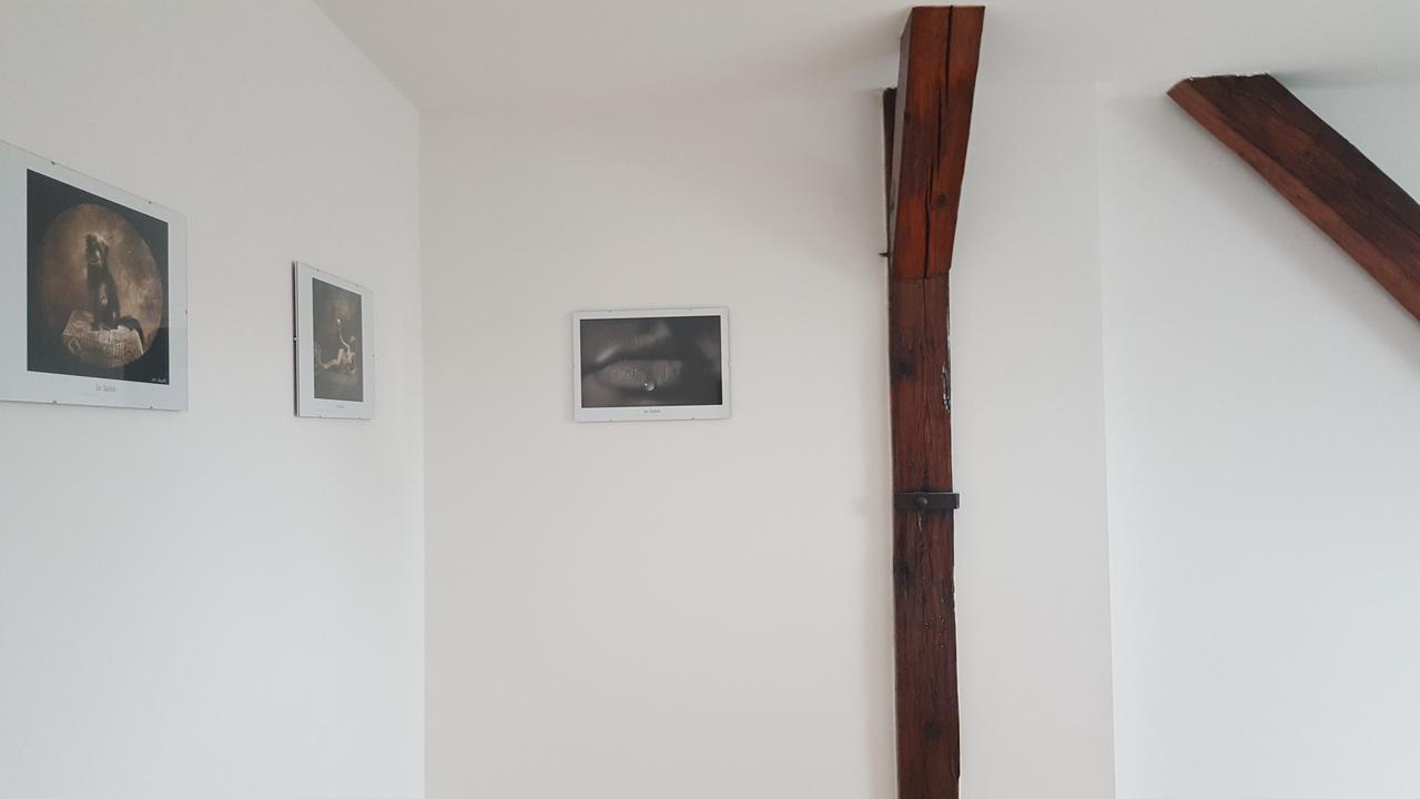 Apartmany Za Sakurou Hodonín المظهر الخارجي الصورة